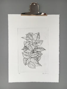 Leaves no.3